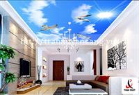 Mẫu trần phòng khách xuyên sáng in bầu trời số 11