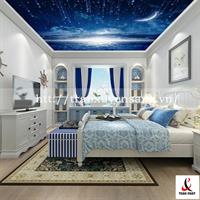 Mẫu trần phòng ngủ xuyên sáng in bầu trời mưa sao băng
