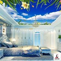 Mẫu trần phòng ngủ xuyên sáng in bầu trời số 3