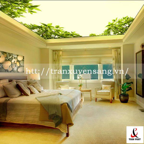 Mẫu trần phòng ngủ xuyên sáng tấm trắng