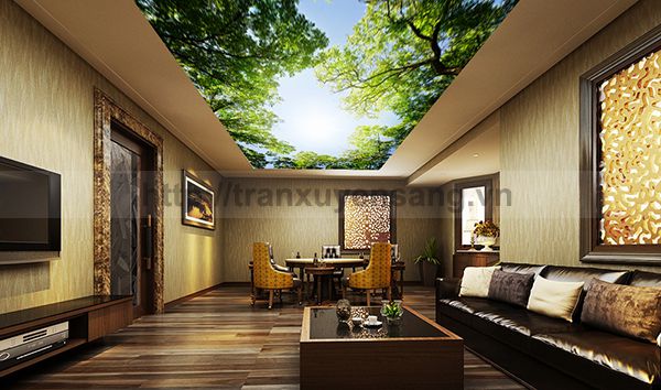 Hình ảnh mẫu thiết kế trần xuyên sáng đẹp