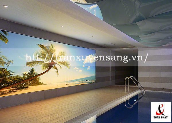 Vách xuyên sáng bể bơi trong nhà