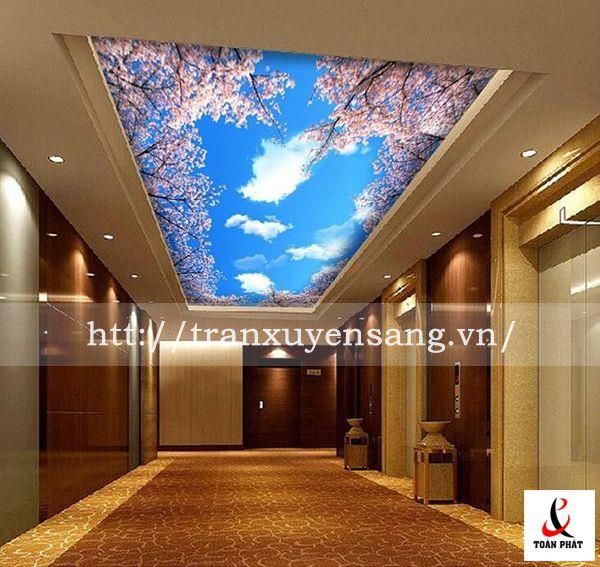 Mẫu trần phòng khách xuyên sáng in bầu trời số 13