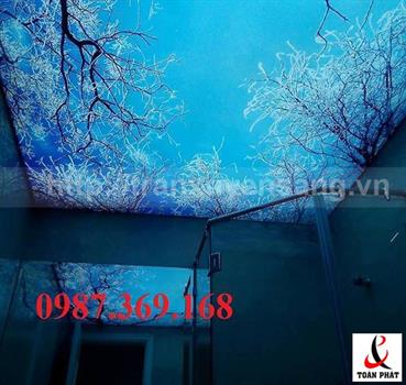 Mẫu trần nhà tắm xuyên sáng in bầu trời số 1