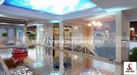 Mẫu trần xuyên sáng bể bơi trong nhà số 8