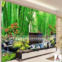 Mẫu vách xuyên sáng in rừng trúc, suối nước