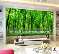 Mẫu vách xuyên sáng phòng khách số 1
