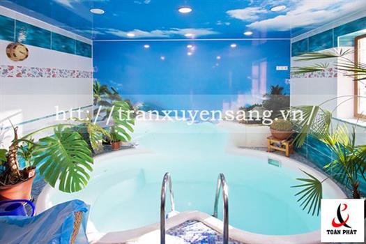 Mẫu trần xuyên sáng bể bơi in bầu trời số 5