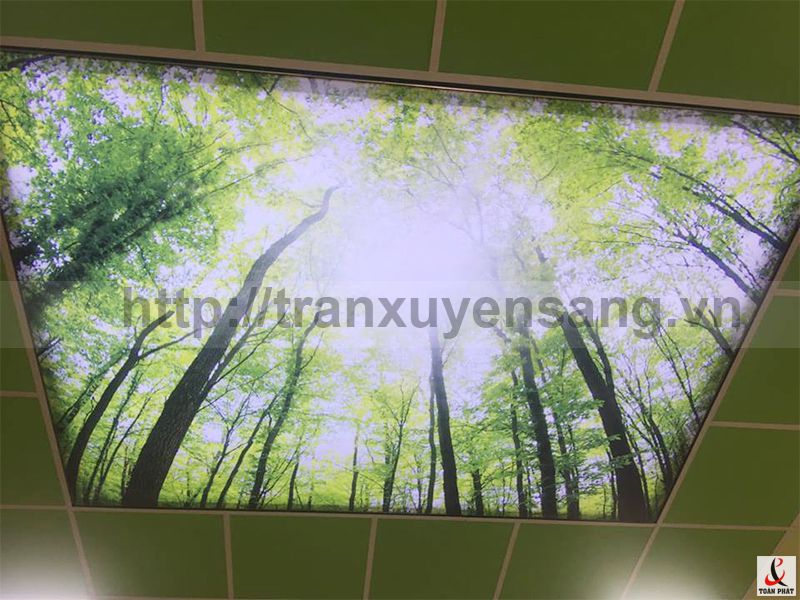 Hình ảnh tấm thứ 4