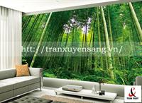 Mẫu vách xuyên sáng in rừng Tre